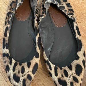 Dolce Gabbana leopard Ballet Flats
